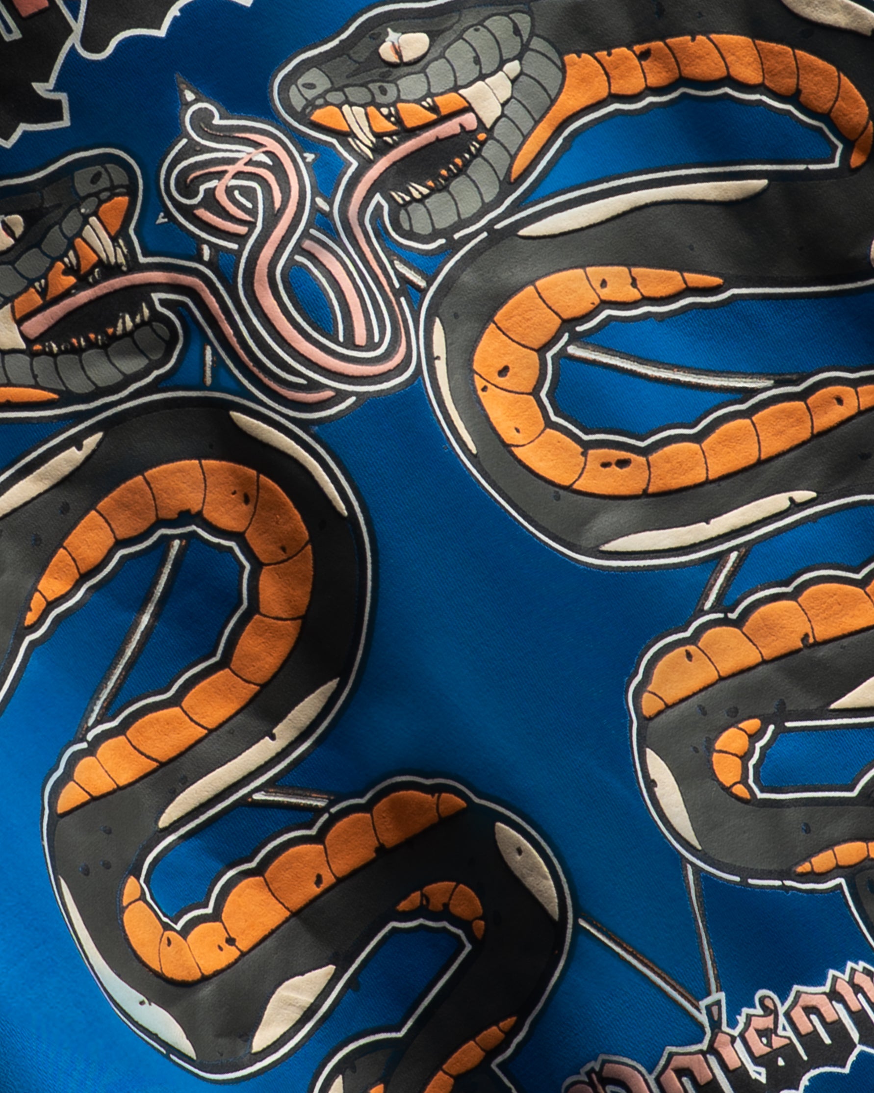 Azure Serpent Hoodie